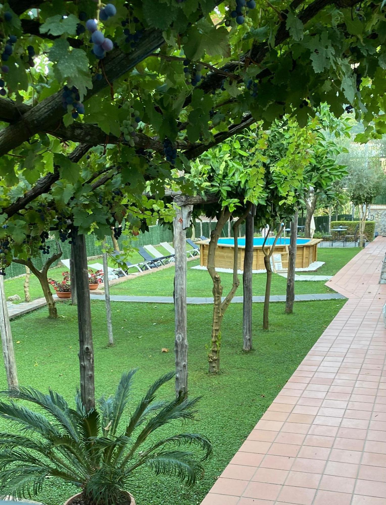 Farfalle E Gabbiani Bed & Breakfast