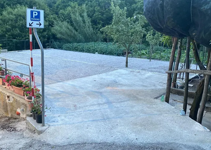 Farfalle E Gabbiani
