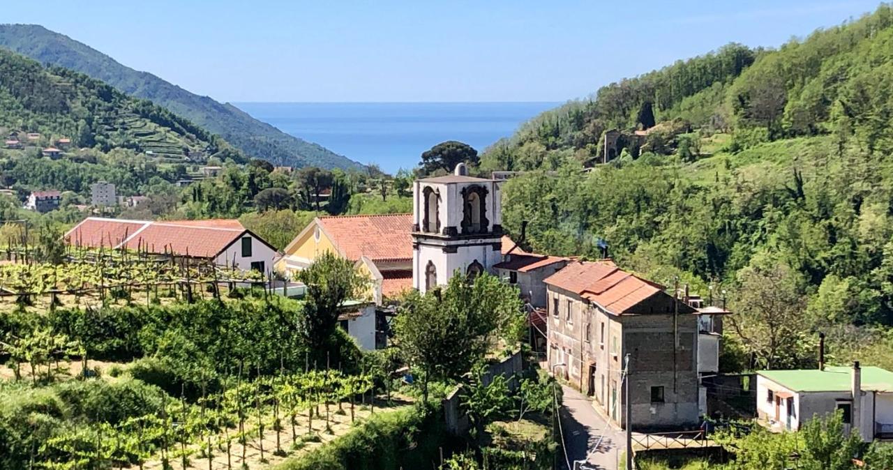Bed & Breakfast Farfalle E Gabbiani