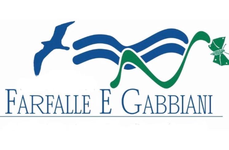 Farfalle E Gabbiani Bed & Breakfast Tramonti