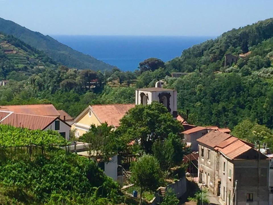Farfalle E Gabbiani Bed & Breakfast