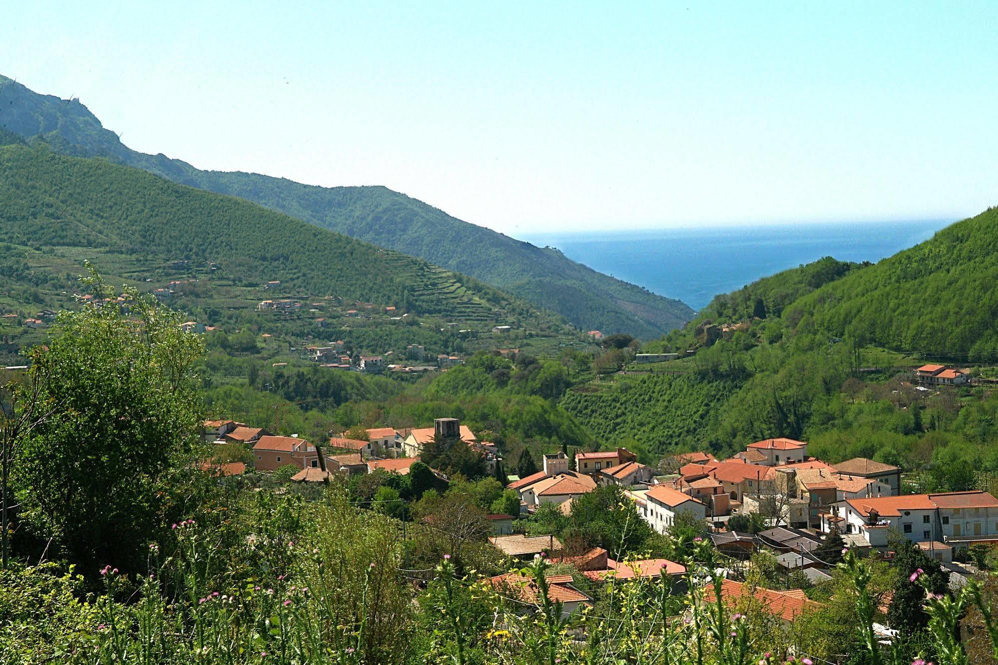 Farfalle E Gabbiani Tramonti