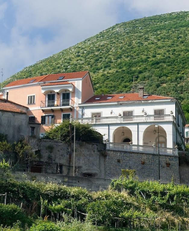 Farfalle E Gabbiani Bed & Breakfast Tramonti